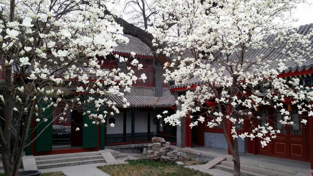 Scholar Tree Courtyard Hotel Beijing Eksteriør billede